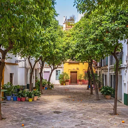 Apartamento Encantador A Un Paso De La Catedral